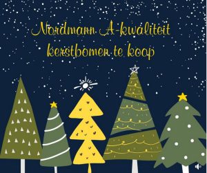 camping streefland, kerstbomen